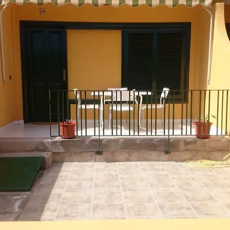 Tajinaste *